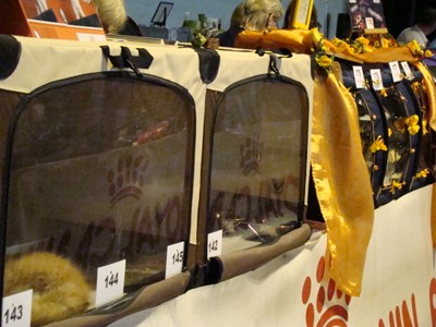 20120805_128 (Expo)